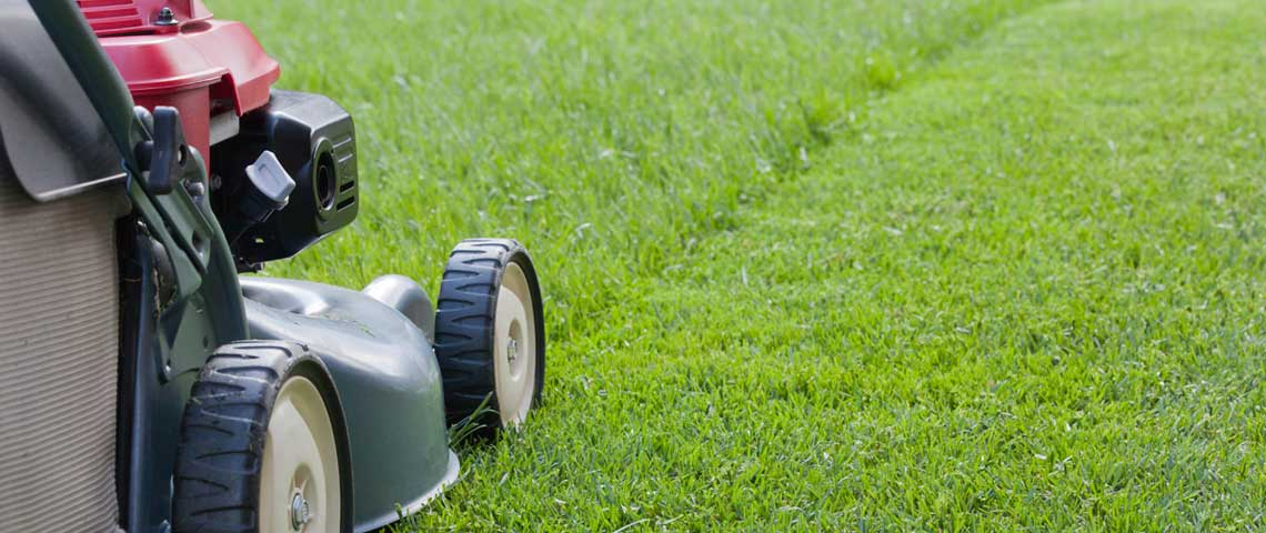 Professional lawn mowing equipment